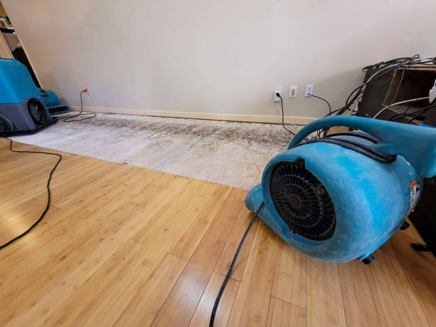 Professional Water Damage Repair technician working in Dover, MA